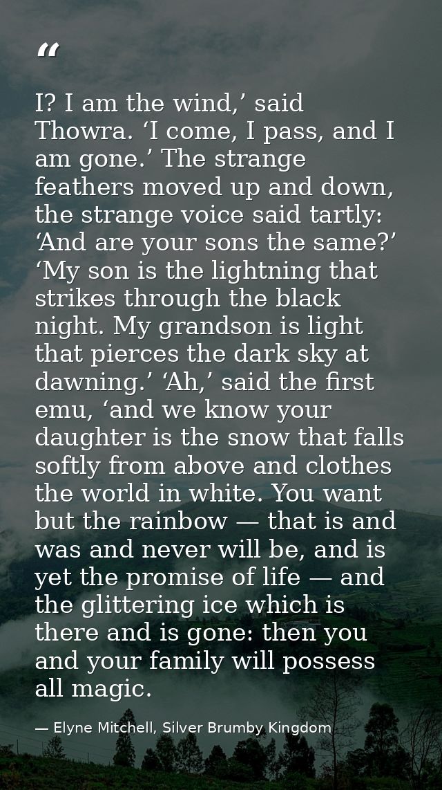 I? I am the wind,’ said Thowra. ‘I come, I pass, and I am gone.’ The strange feathers moved up and down, the strange voi — Elyne Mitchell, Silver Brumby Kingdom