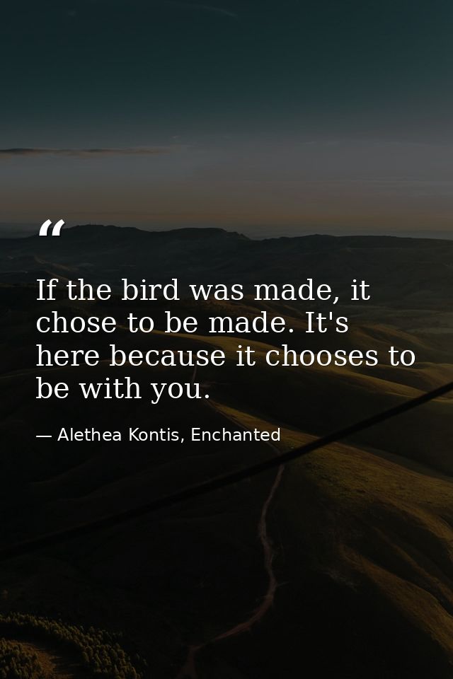 If the bird was made, it chose to be made. It's here because it chooses to be with you. — Alethea Kontis, Enchanted