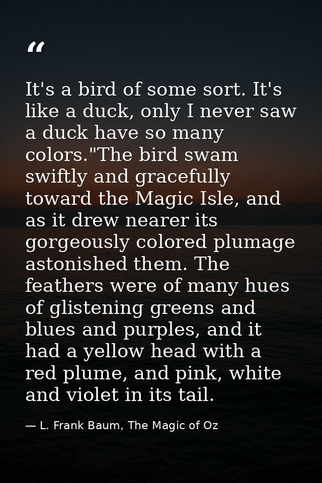 It's a bird of some sort. It's like a duck, only I never saw a duck have so many colors."The bird swam swiftly and grace — L. Frank Baum, The Magic of Oz