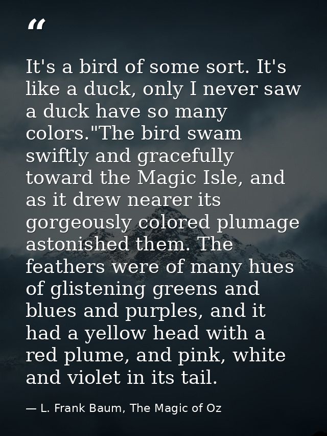 It's a bird of some sort. It's like a duck, only I never saw a duck have so many colors."The bird swam swiftly and grace — L. Frank Baum, The Magic of Oz