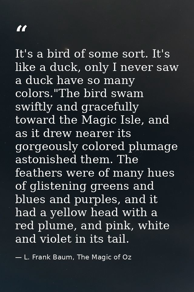 It's a bird of some sort. It's like a duck, only I never saw a duck have so many colors."The bird swam swiftly and grace — L. Frank Baum, The Magic of Oz