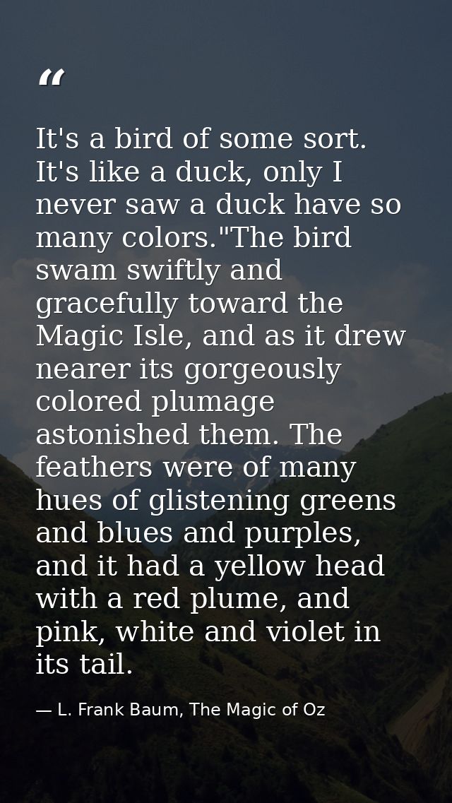 It's a bird of some sort. It's like a duck, only I never saw a duck have so many colors."The bird swam swiftly and grace — L. Frank Baum, The Magic of Oz