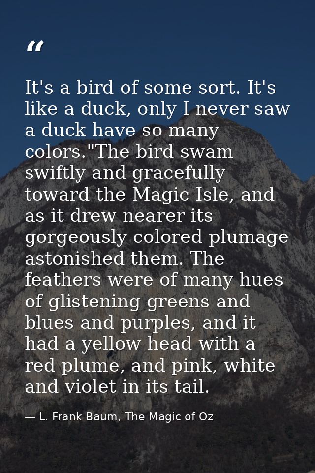 It's a bird of some sort. It's like a duck, only I never saw a duck have so many colors."The bird swam swiftly and grace — L. Frank Baum, The Magic of Oz