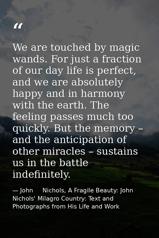 We are touched by magic wands. For just a fraction of our day life is perfect, and we are absolutely happy and in harmon — John     Nichols, A Fragile Beauty: John Nichols' Milagro Country: Text and Photographs from His Life and Work