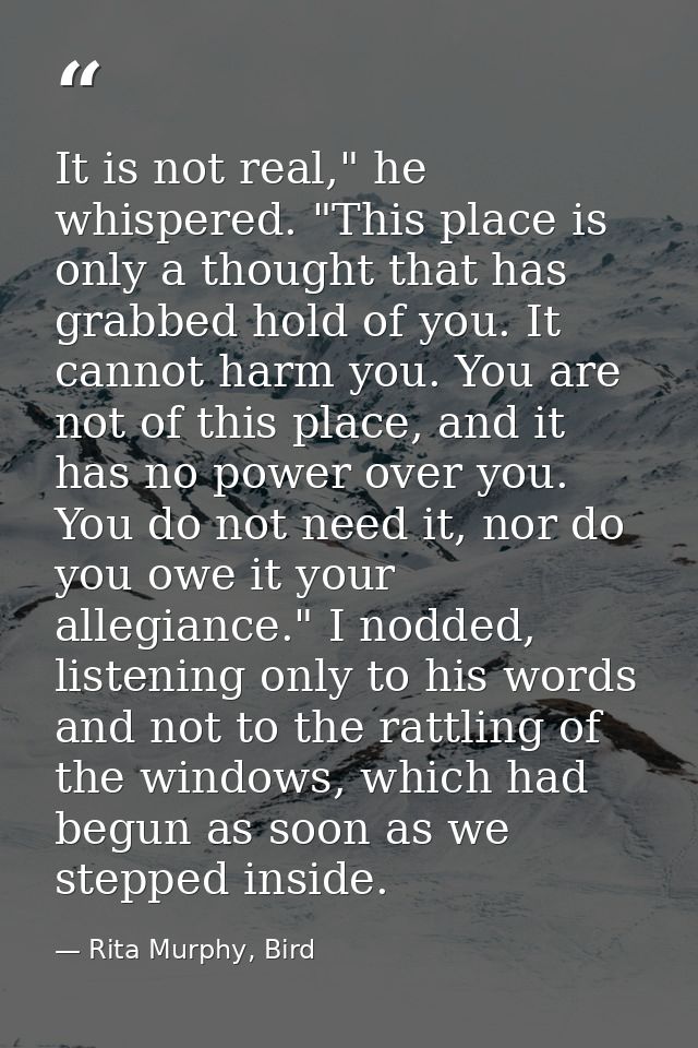 It is not real," he whispered. "This place is only a thought that has grabbed hold of you. It cannot harm you. You are n — Rita Murphy, Bird
