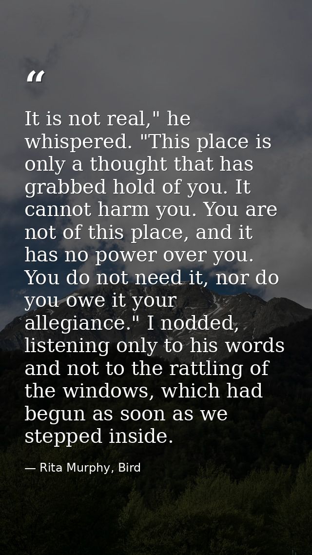 It is not real," he whispered. "This place is only a thought that has grabbed hold of you. It cannot harm you. You are n — Rita Murphy, Bird