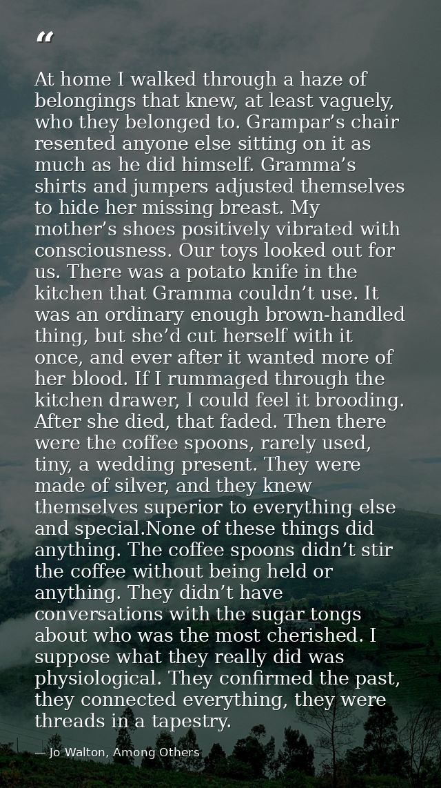 At home I walked through a haze of belongings that knew, at least vaguely, who they belonged to. Grampar’s chair resente — Jo Walton, Among Others