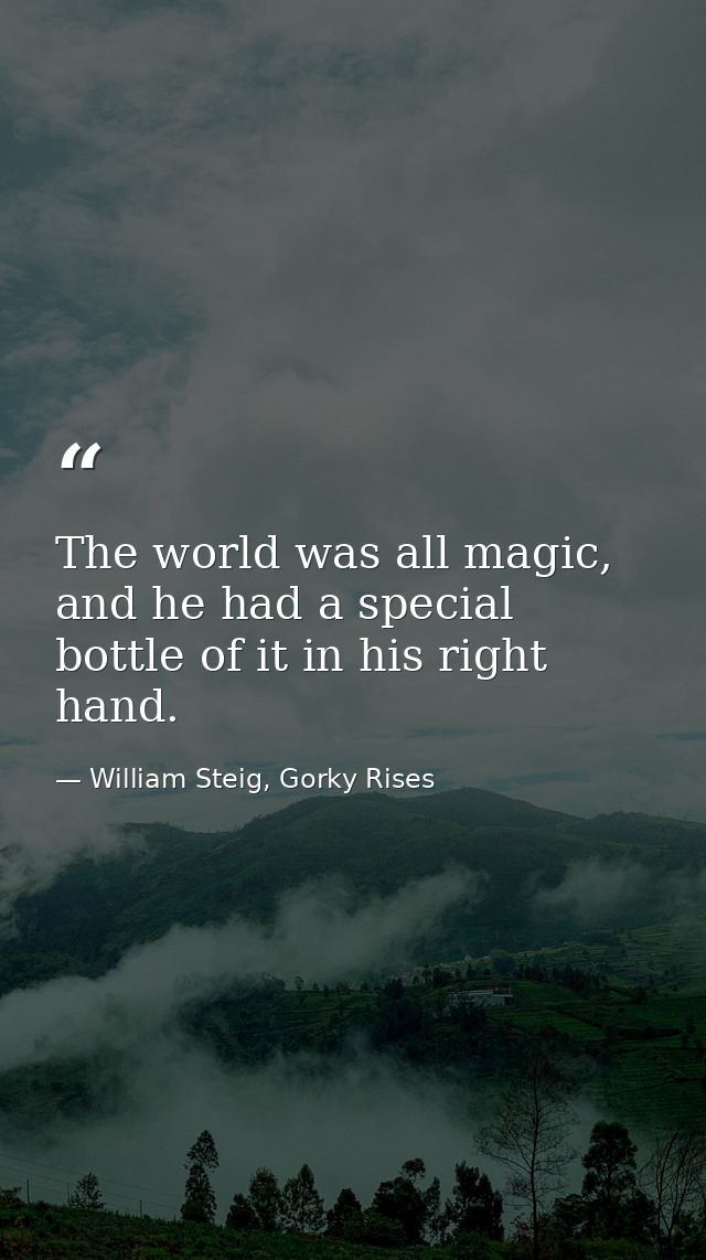 The world was all magic, and he had a special bottle of it in his right hand. — William Steig, Gorky Rises