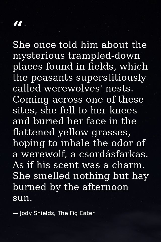 She once told him about the mysterious trampled-down places found in fields, which the peasants superstitiously called w — Jody Shields, The Fig Eater
