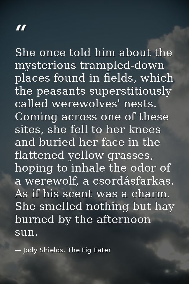 She once told him about the mysterious trampled-down places found in fields, which the peasants superstitiously called w — Jody Shields, The Fig Eater