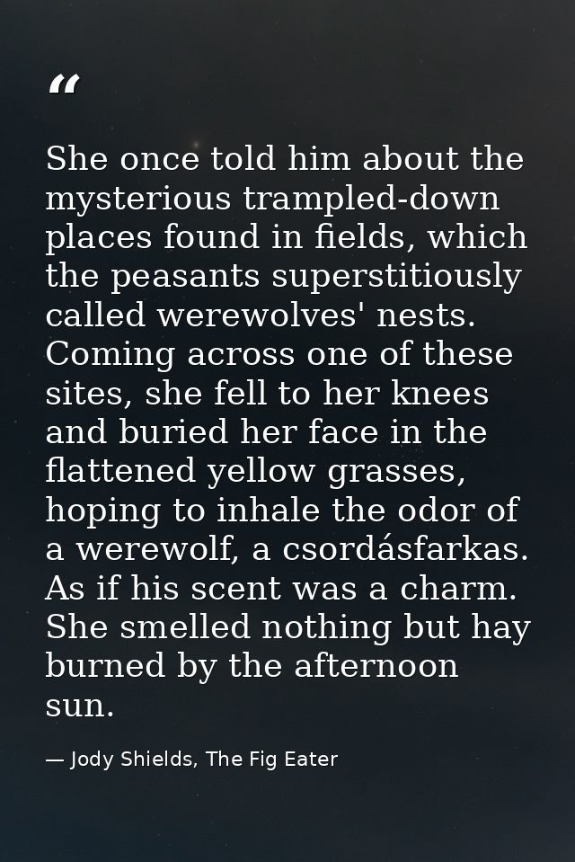 She once told him about the mysterious trampled-down places found in fields, which the peasants superstitiously called w — Jody Shields, The Fig Eater