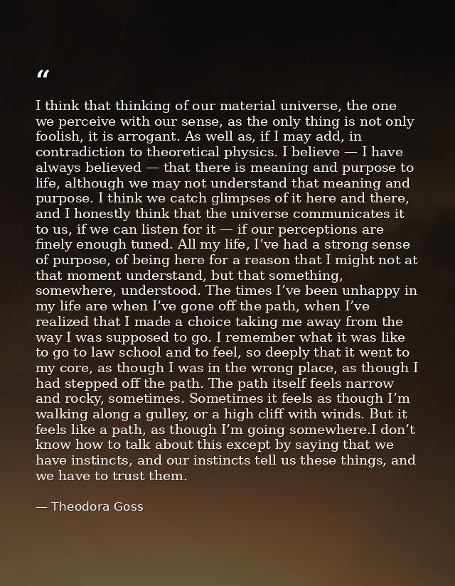 I think that thinking of our material universe, the one we perceive with our sense, as the only thing is not only foolis — Theodora Goss