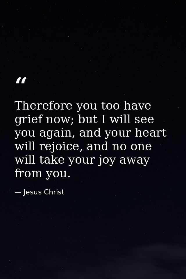 Therefore you too have grief now; but I will see you again, and your heart will rejoice, and no one will take your joy a — Jesus Christ