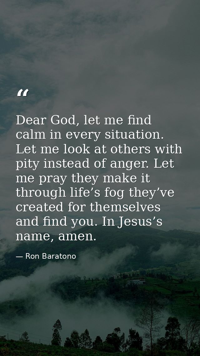 Dear God, let me find calm in every situation. Let me look at others with pity instead of anger. Let me pray they make i — Ron Baratono