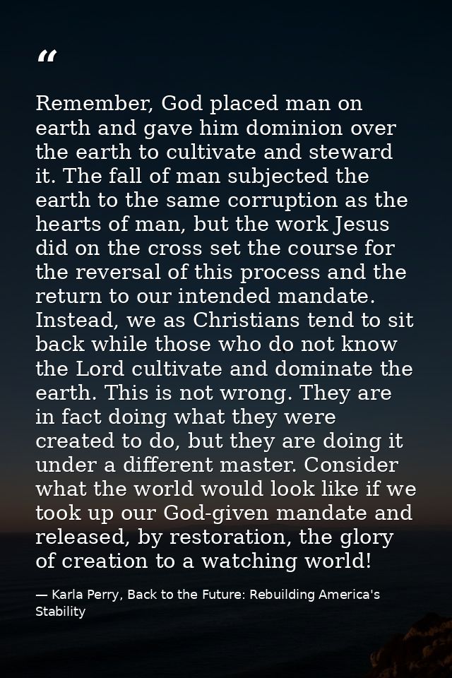 Remember, God placed man on earth and gave him dominion over the earth to cultivate and steward it. The fall of man subj — Karla Perry, Back to the Future: Rebuilding America's Stability