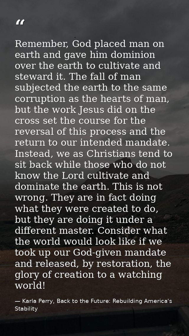 Remember, God placed man on earth and gave him dominion over the earth to cultivate and steward it. The fall of man subj — Karla Perry, Back to the Future: Rebuilding America's Stability