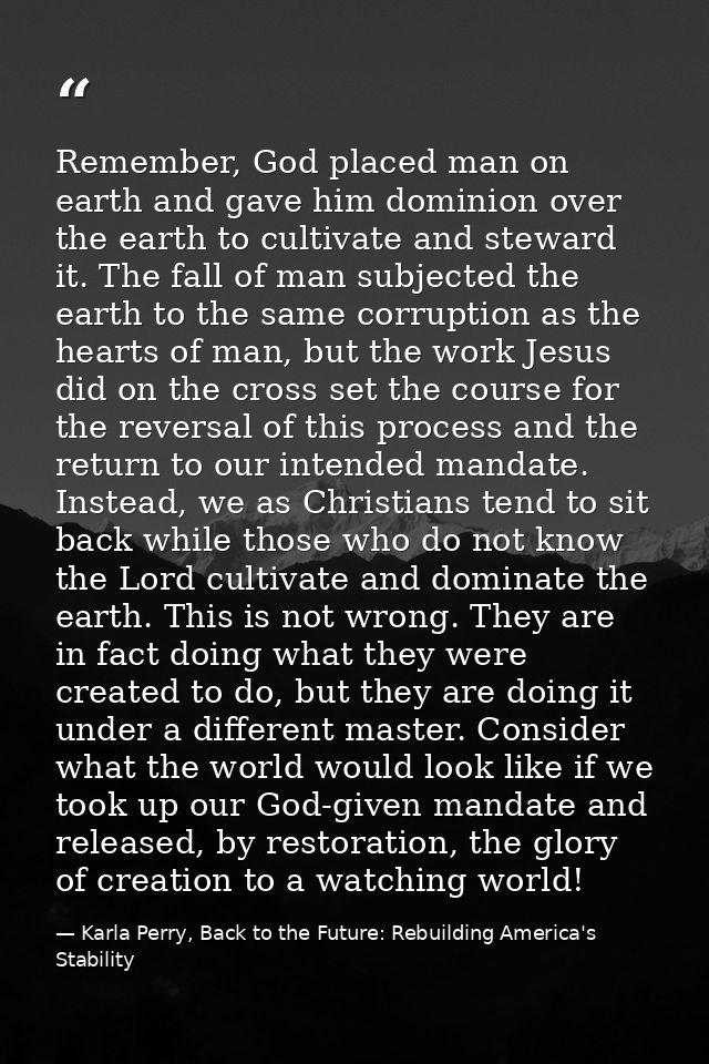 Remember, God placed man on earth and gave him dominion over the earth to cultivate and steward it. The fall of man subj — Karla Perry, Back to the Future: Rebuilding America's Stability