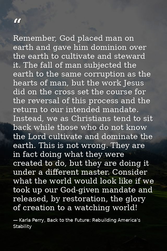 Remember, God placed man on earth and gave him dominion over the earth to cultivate and steward it. The fall of man subj — Karla Perry, Back to the Future: Rebuilding America's Stability