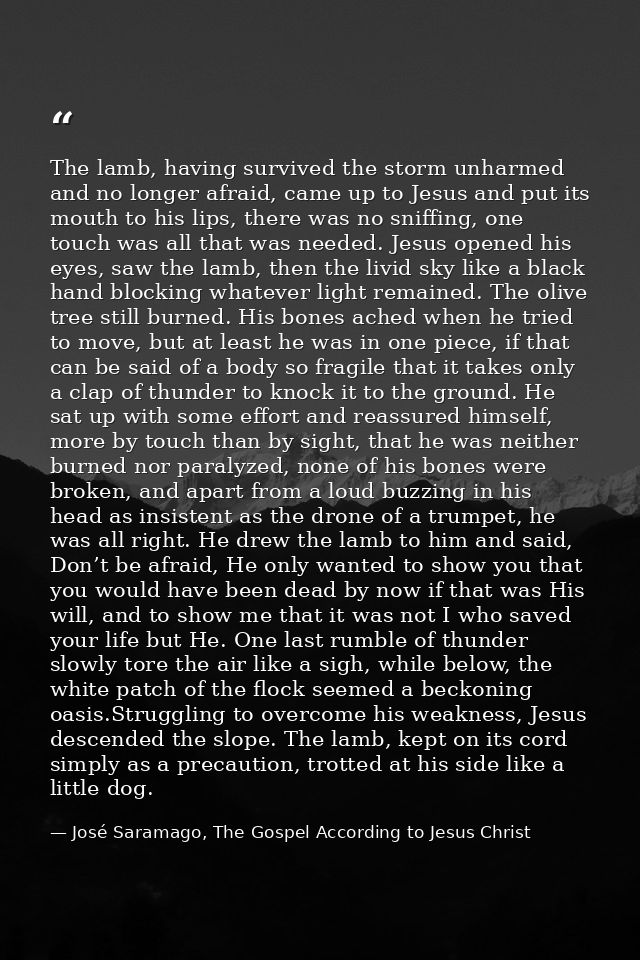 The lamb, having survived the storm unharmed and no longer afraid, came up to Jesus and put its mouth to his lips, there — José Saramago, The Gospel According to Jesus Christ