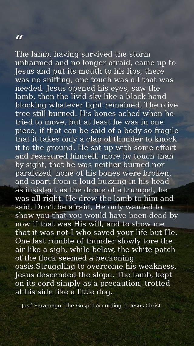 The lamb, having survived the storm unharmed and no longer afraid, came up to Jesus and put its mouth to his lips, there — José Saramago, The Gospel According to Jesus Christ
