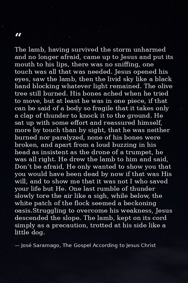 The lamb, having survived the storm unharmed and no longer afraid, came up to Jesus and put its mouth to his lips, there — José Saramago, The Gospel According to Jesus Christ