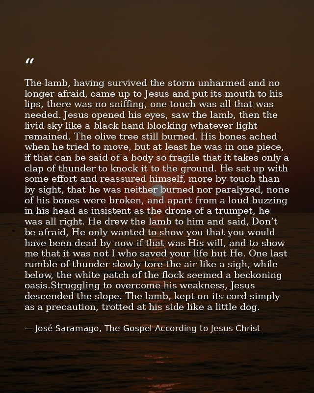 The lamb, having survived the storm unharmed and no longer afraid, came up to Jesus and put its mouth to his lips, there — José Saramago, The Gospel According to Jesus Christ