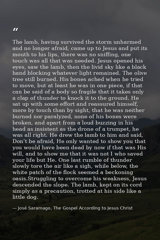 The lamb, having survived the storm unharmed and no longer afraid, came up to Jesus and put its mouth to his lips, there — José Saramago, The Gospel According to Jesus Christ
