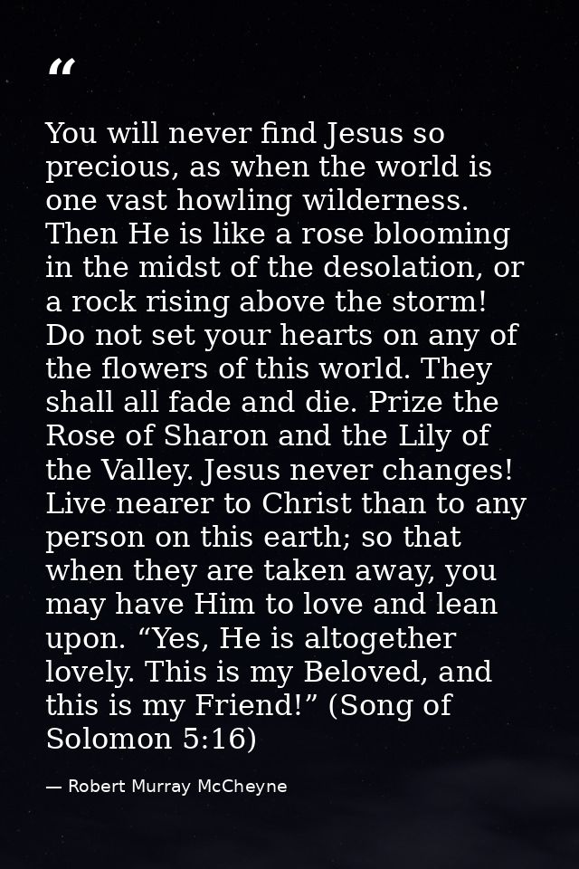 You will never find Jesus so precious, as when the world is one vast howling wilderness. Then He is like a rose blooming — Robert Murray McCheyne