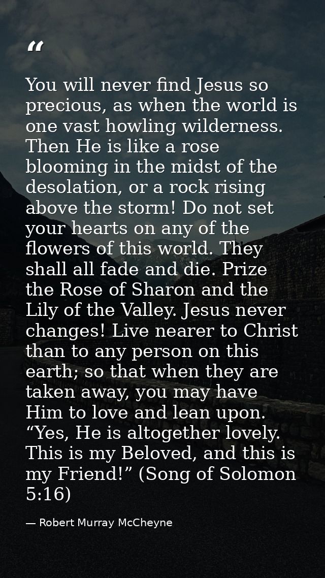 You will never find Jesus so precious, as when the world is one vast howling wilderness. Then He is like a rose blooming — Robert Murray McCheyne