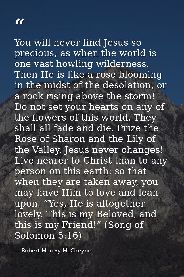 You will never find Jesus so precious, as when the world is one vast howling wilderness. Then He is like a rose blooming — Robert Murray McCheyne