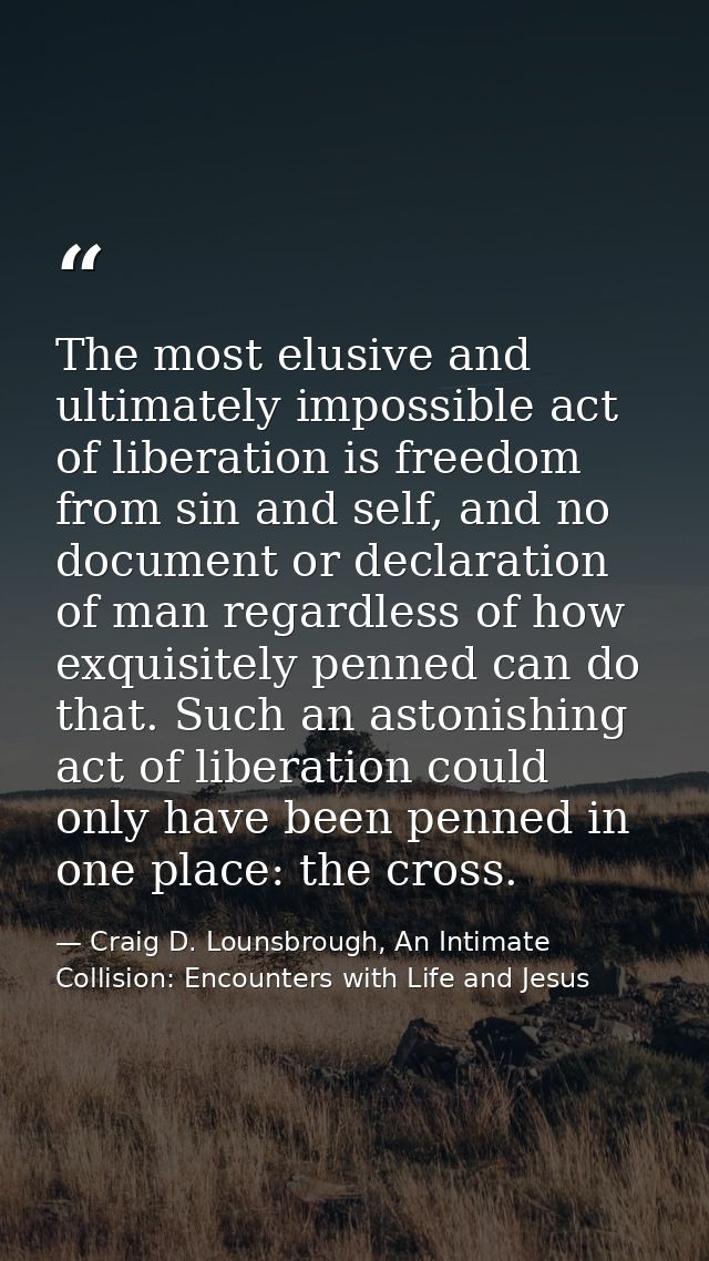 The most elusive and ultimately impossible act of liberation is freedom from sin and self, and no document or declaratio — Craig D. Lounsbrough, An Intimate Collision: Encounters with Life and Jesus