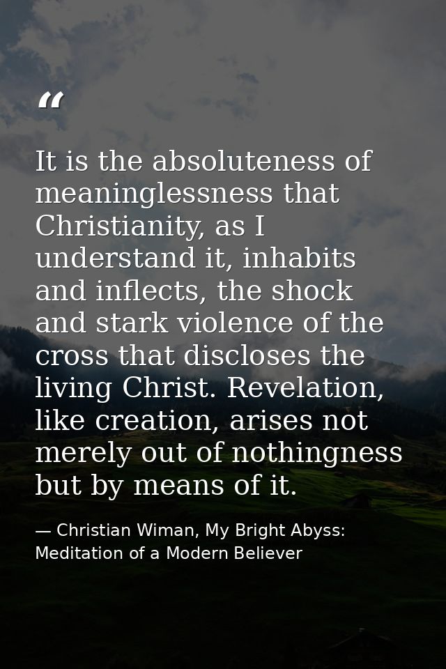 It is the absoluteness of meaninglessness that Christianity, as I understand it, inhabits and inflects, the shock and st — Christian Wiman, My Bright Abyss: Meditation of a Modern Believer