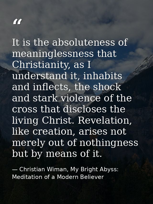 It is the absoluteness of meaninglessness that Christianity, as I understand it, inhabits and inflects, the shock and st — Christian Wiman, My Bright Abyss: Meditation of a Modern Believer