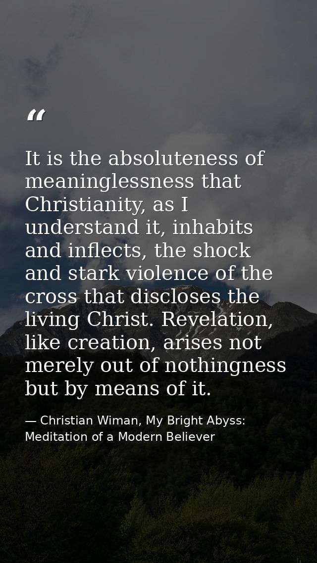 It is the absoluteness of meaninglessness that Christianity, as I understand it, inhabits and inflects, the shock and st — Christian Wiman, My Bright Abyss: Meditation of a Modern Believer