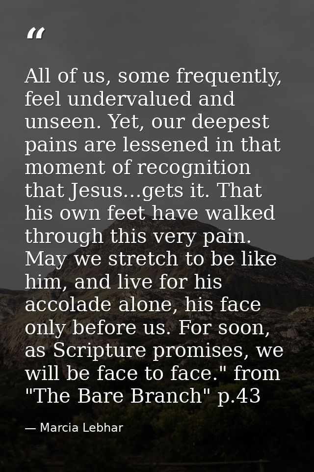 All of us, some frequently, feel undervalued and unseen. Yet, our deepest pains are lessened in that moment of recogniti — Marcia Lebhar