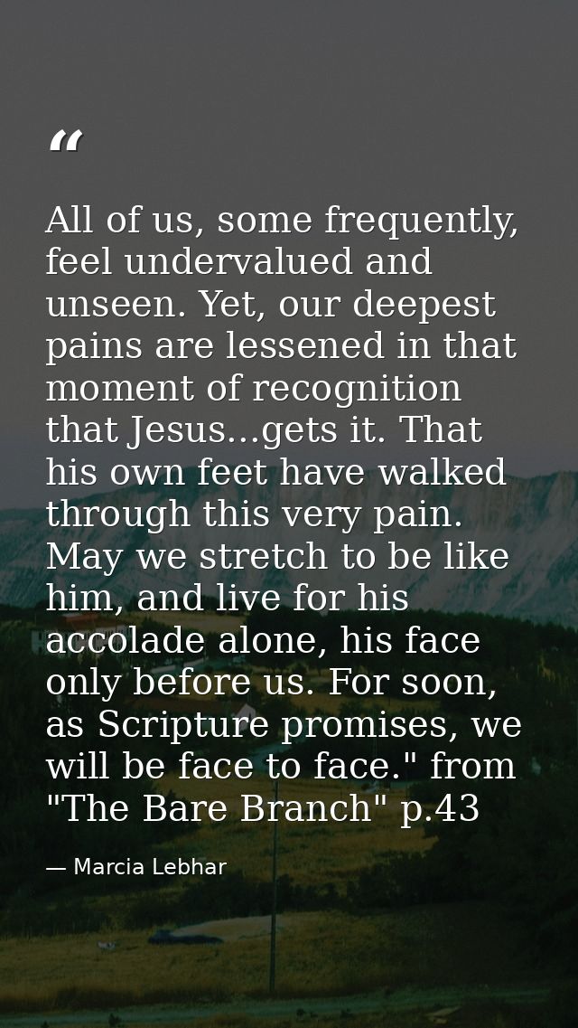 All of us, some frequently, feel undervalued and unseen. Yet, our deepest pains are lessened in that moment of recogniti — Marcia Lebhar