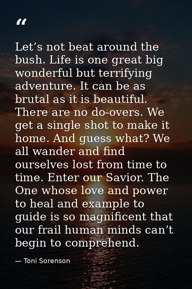 Let’s not beat around the bush. Life is one great big wonderful but terrifying adventure. It can be as brutal as it is b — Toni Sorenson