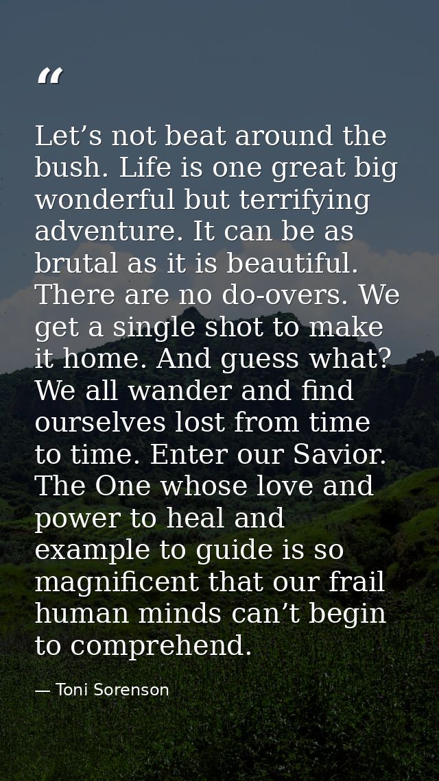 Let’s not beat around the bush. Life is one great big wonderful but terrifying adventure. It can be as brutal as it is b — Toni Sorenson