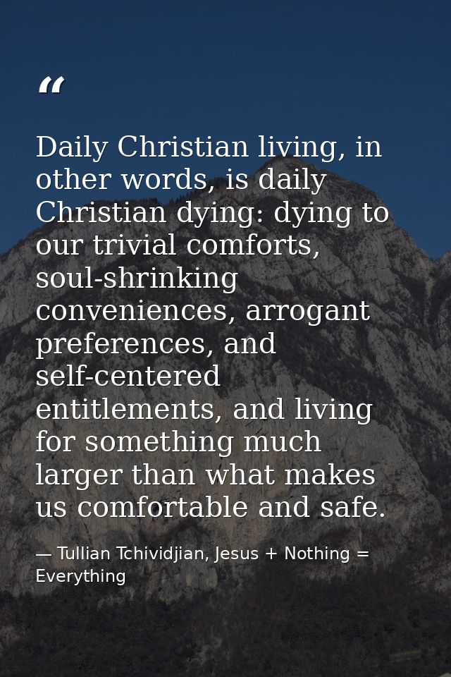 Daily Christian living, in other words, is daily Christian dying: dying to our trivial comforts, soul-shrinking convenie — Tullian Tchividjian, Jesus + Nothing = Everything