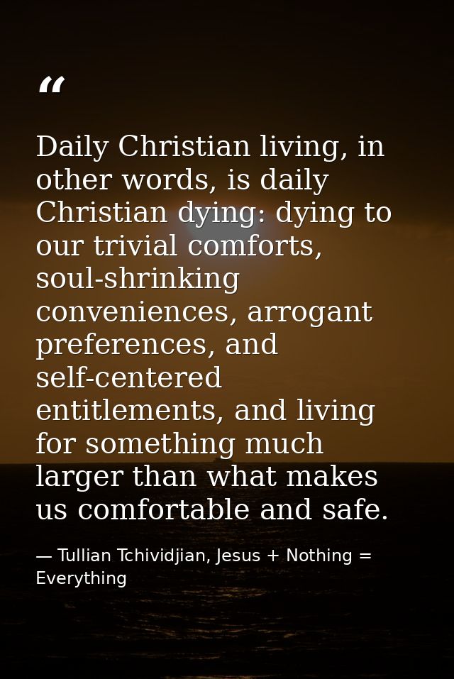Daily Christian living, in other words, is daily Christian dying: dying to our trivial comforts, soul-shrinking convenie — Tullian Tchividjian, Jesus + Nothing = Everything