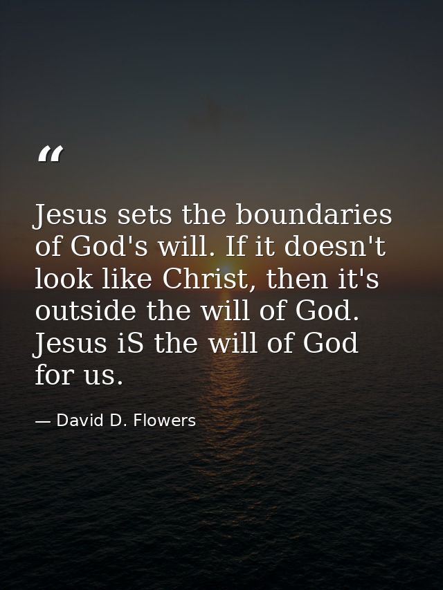 Jesus sets the boundaries of God's will. If it doesn't look like Christ, then it's outside the will of God. Jesus iS the — David D. Flowers
