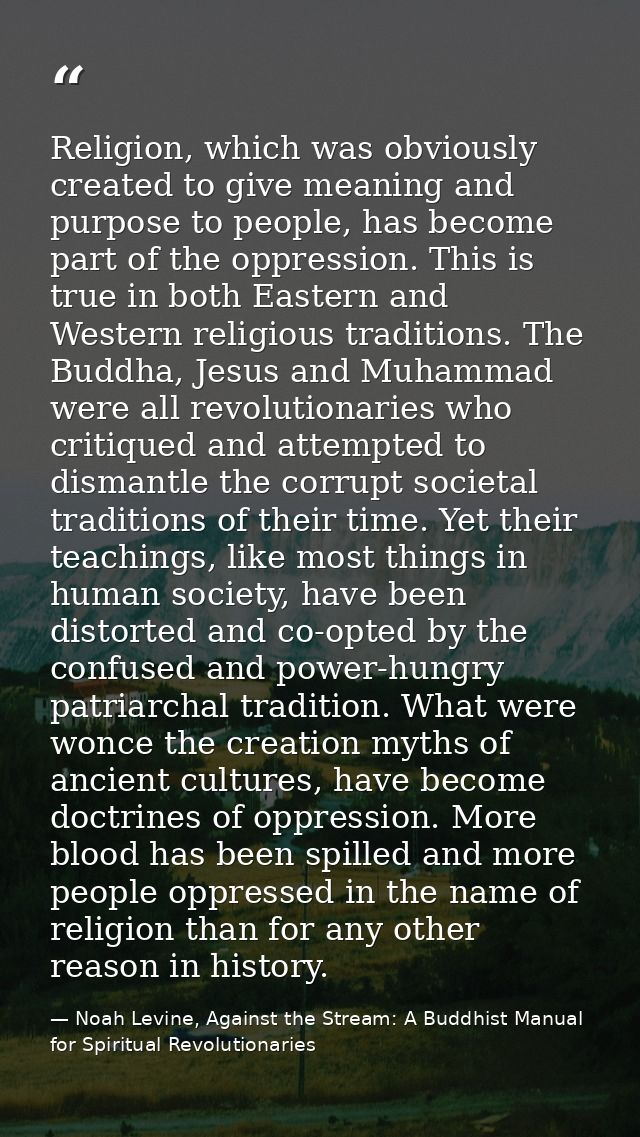 Religion, which was obviously created to give meaning and purpose to people, has become part of the oppression. This is  — Noah Levine, Against the Stream: A Buddhist Manual for Spiritual Revolutionaries