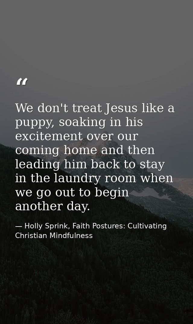 We don't treat Jesus like a puppy, soaking in his excitement over our coming home and then leading him back to stay in t — Holly Sprink, Faith Postures: Cultivating Christian Mindfulness
