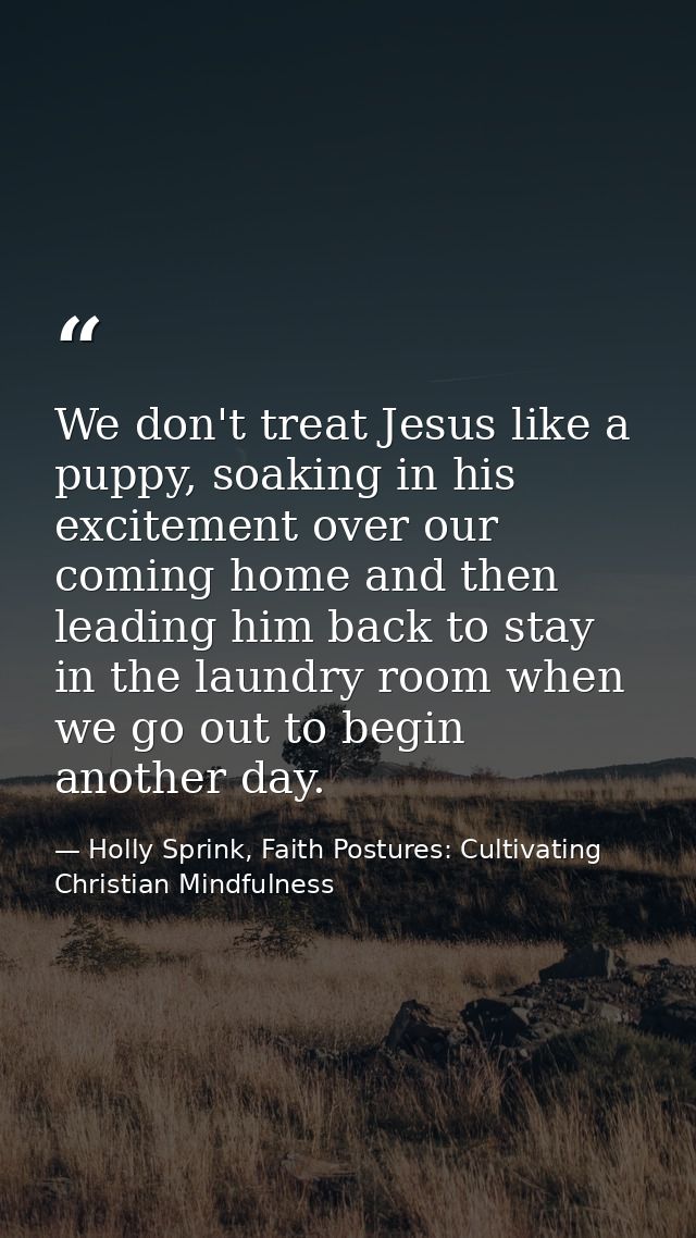 We don't treat Jesus like a puppy, soaking in his excitement over our coming home and then leading him back to stay in t — Holly Sprink, Faith Postures: Cultivating Christian Mindfulness