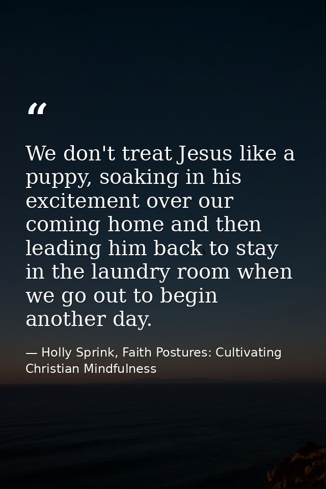 We don't treat Jesus like a puppy, soaking in his excitement over our coming home and then leading him back to stay in t — Holly Sprink, Faith Postures: Cultivating Christian Mindfulness