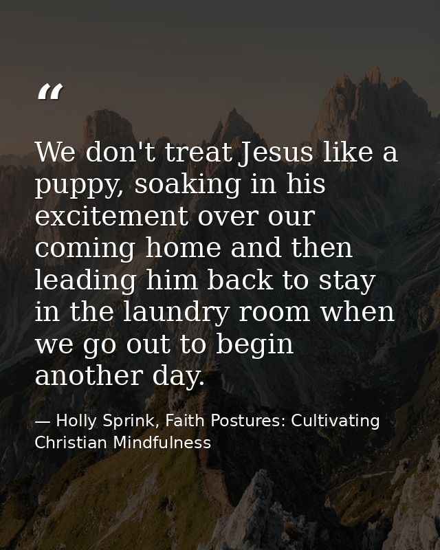 We don't treat Jesus like a puppy, soaking in his excitement over our coming home and then leading him back to stay in t — Holly Sprink, Faith Postures: Cultivating Christian Mindfulness