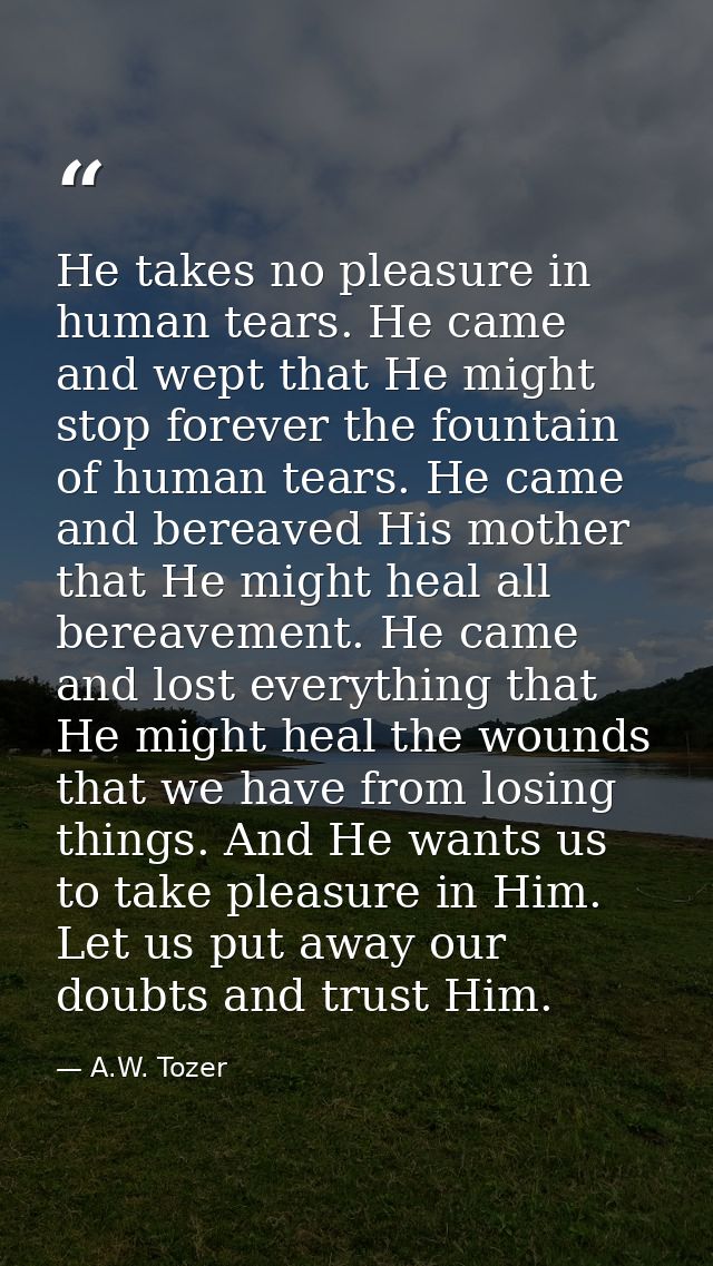 He takes no pleasure in human tears. He came and wept that He might stop forever the fountain of human tears. He came an — A.W. Tozer
