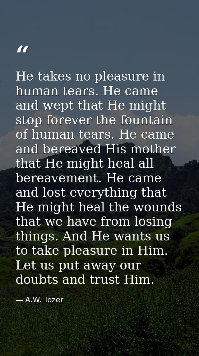 He takes no pleasure in human tears. He came and wept that He might stop forever the fountain of human tears. He came an — A.W. Tozer
