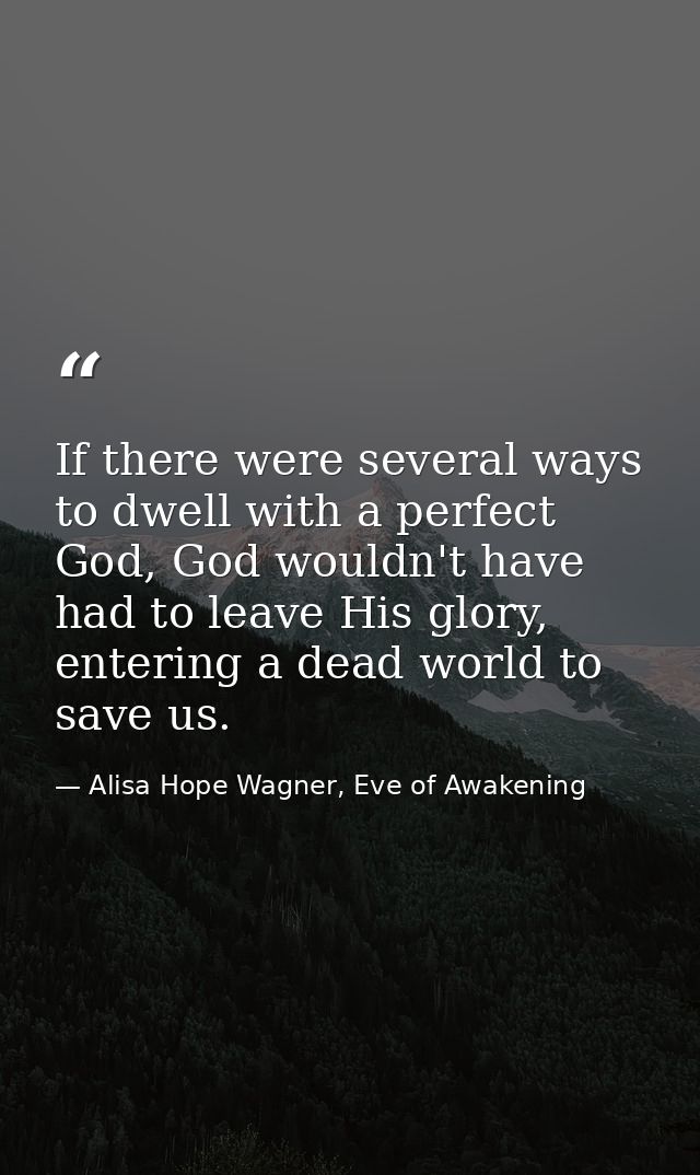 If there were several ways to dwell with a perfect God, God wouldn't have had to leave His glory, entering a dead world  — Alisa Hope Wagner, Eve of Awakening