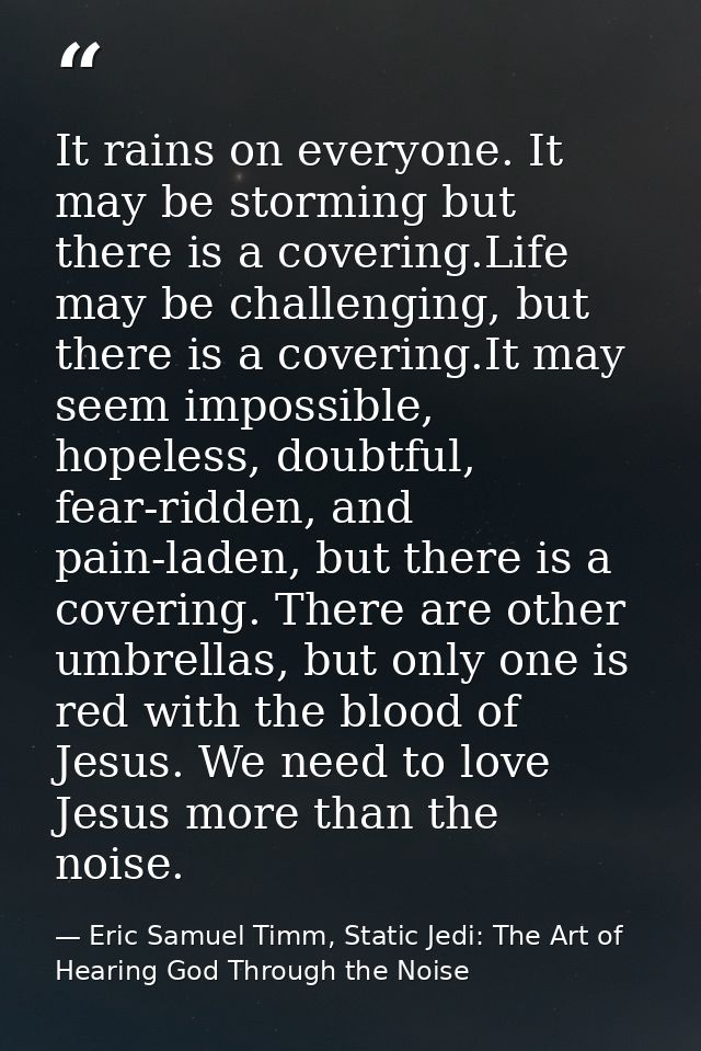 It rains on everyone. It may be storming but there is a covering.Life may be challenging, but there is a covering.It may — Eric Samuel Timm, Static Jedi: The Art of Hearing God Through the Noise